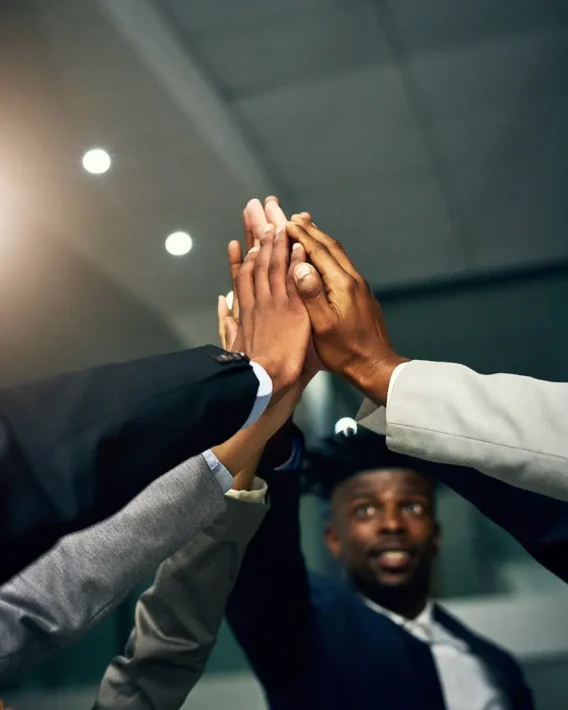 How Consultation Shapes New Business Ventures